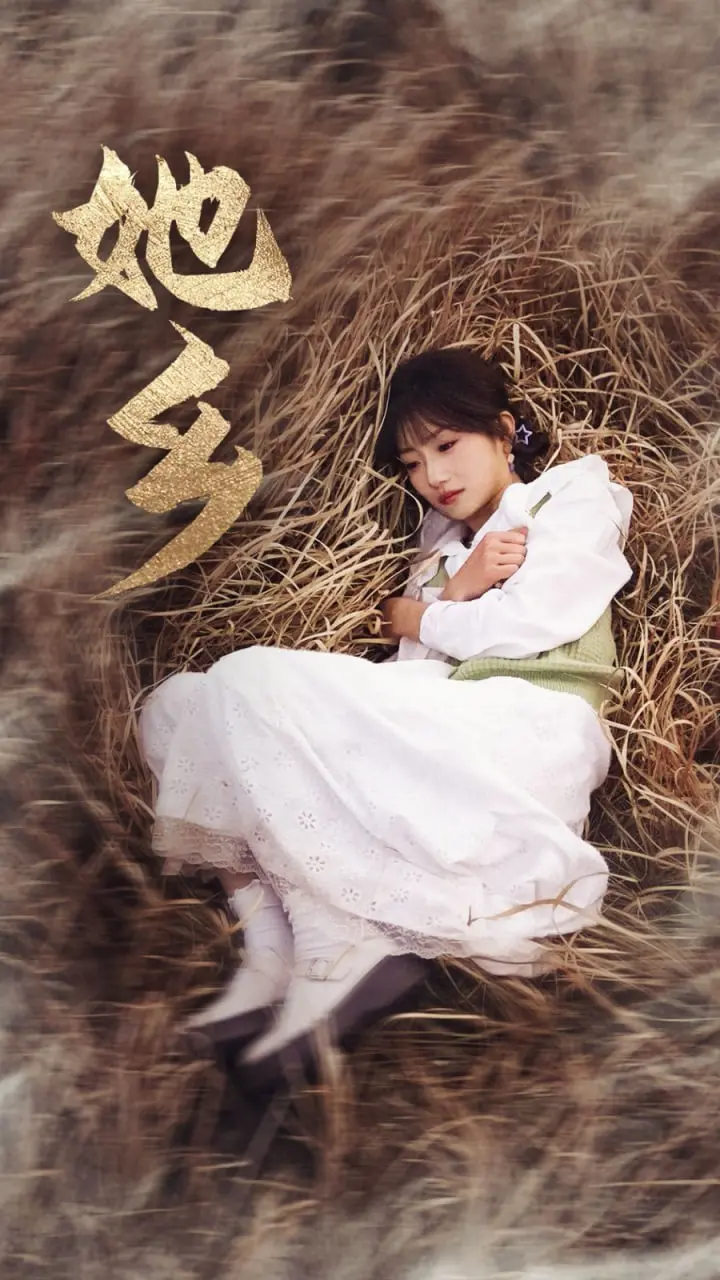 《她乡》：漂泊异国的女性群像，镜头下的生存与情感，细腻刻画海外华人女性的奋斗与挣扎！