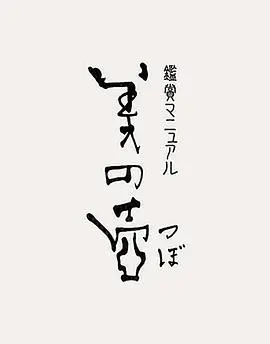 《美之壶》：揭秘隐藏的日本美学！不再只是浮光掠影！