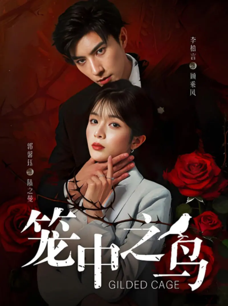 《笼中之鸟》：突破命运牢笼，看草根逆袭，燃爆你的肾上腺素！